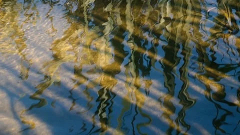 Reflection on the surface of the waves of water in a river of reeds. Stock Footage 97708514