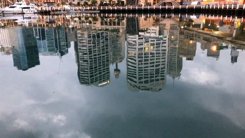 Reflection of Sydney Skyline Stock Footage 91219115