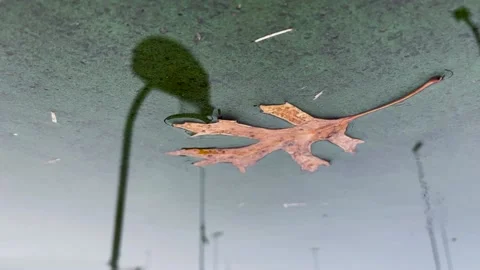 Reflection of Teen Practicing Basketball in a Puddle Stock Footage 147158845