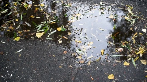 Reflection th in a puddle in autumn day Stock Footage 95433334