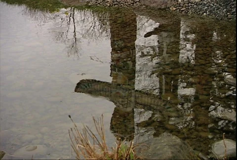 Reflection of Totem Poles Vídeo Stock 356611