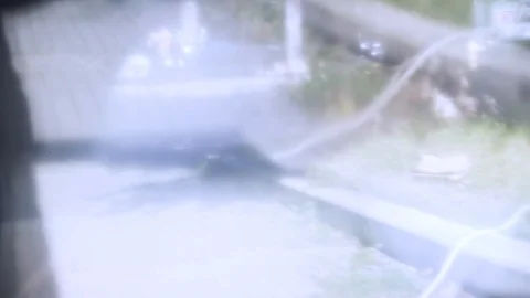 Reflection of the traffic in a working washing machine Video stock 120073230