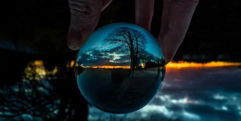 Reflection of tre on crystal ball Stockfoto's