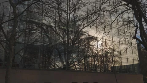 Reflection of tree and cloudy sunset modern glass building, Tilt Shot Stock Footage 251718347