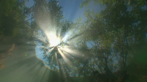 The reflection of tree branches and sunlight in the fresh water. Stock Footage 53300133