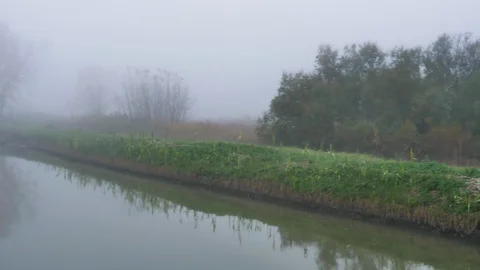 Reflection of a tree in the canal Stock Footage 120411668