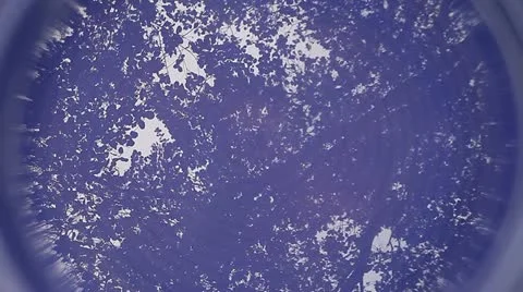 Reflection of tree Stock Footage 18182260