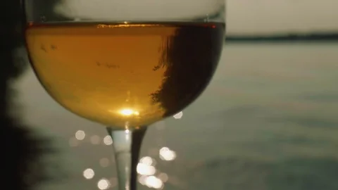 Reflection of tree in glass of white wine Stock Footage 95538521