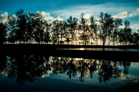Reflection of the tree in lake Stock Photos