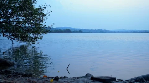 Reflection of tree on lake with ripples in early morning. 動画素材 106106992