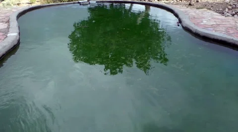 Reflection of a tree in an old pool Stock Footage 48910250