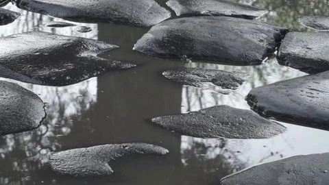 Reflection of a tree over the water, on the ground, with stones Stock Footage 73984235