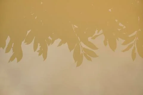 Reflection of a tree in a puddle. Stock Photos