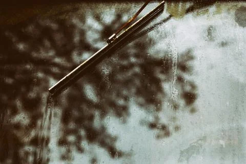 The reflection of a tree on a rain-soaked windshield Stock Photos