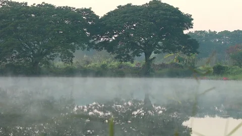 Reflection of  tree  in the river, Chiangmai Thailand Stock Footage 120688647