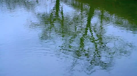 Reflection of tree on the river. Stock Footage 10834925