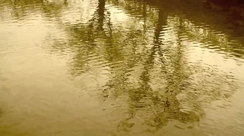 Reflection of tree on the river. Stock-Footage 10836941