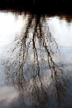 The reflection of the tree from the river Stock Photos