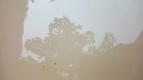 Reflection of tree shadow in dirty water 動画素材 142932164