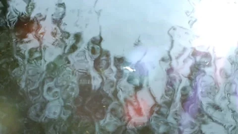 Reflection of tree shadows dance on a  pond creating gentle abstract shapes. Stock Footage 293784480