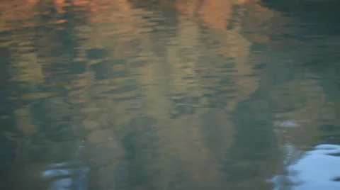 Reflection Of The Tree In Water Stock Footage 40049030