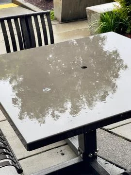 A reflection of a tree on the wet surface of an outdoor table. Stock Photos