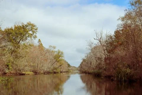 Reflection of treees overlooking river Foto stock