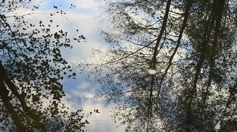 Reflection of trees and blue skies in river Stock Footage 68799566