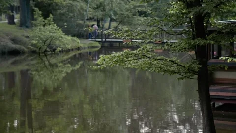 Reflection of trees and clouds above the surface of the lake in slow motion. Stock Footage 256655972