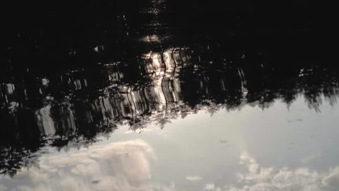 Reflection of trees and clouds above the surface of the lake in slow motion. Stock Footage 256656383