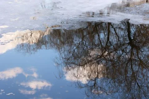 Reflection of trees and clouds in melting ice water Stock Photos