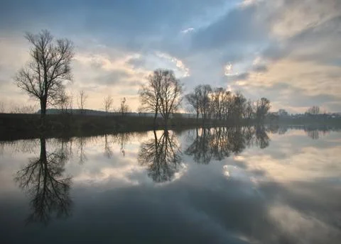 Reflection of trees and clouds in water in dawn Stock Photos