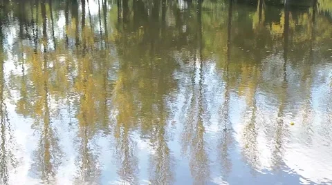Reflection of trees and leaves in the water in autumn 库存影片 50011258