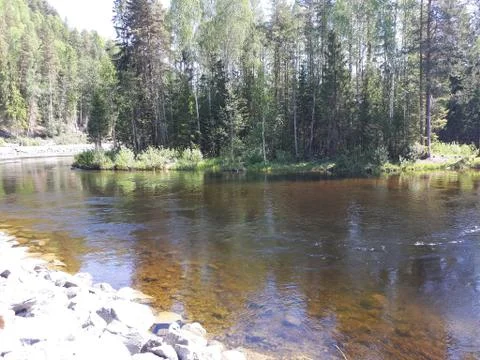 Reflection of trees and plants in the river Stock Photos