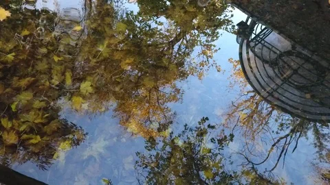 Reflection of trees and sky and waves on the water Stock Footage 96391456