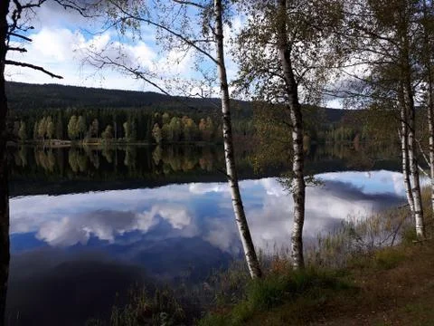 Reflection of trees and sky in blue water Stock Photos
