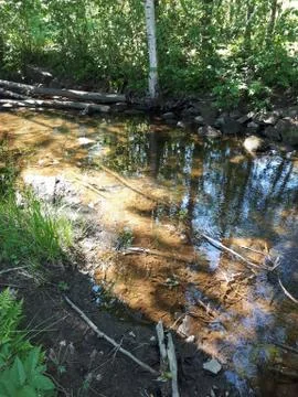 Reflection of trees and sky in blue water Stock Photos
