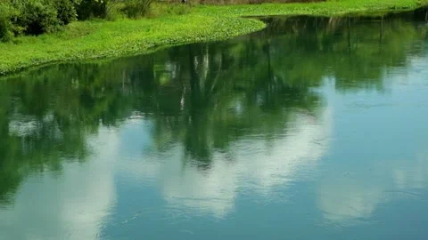 Reflection of trees and sky on the clear river surface Stock Footage 320057056