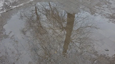 Reflection of trees and sky in a puddle in early spring Stock-Footage 123538471