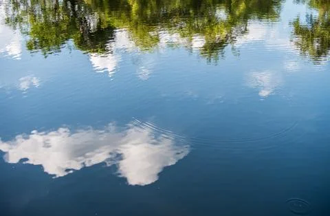 Reflection of trees and sky on the water abstract background Stock Photos