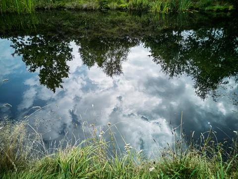 Reflection of Trees and Sky in Water Stock-Fotos