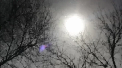 Reflection of the trees and the sun in the river. Landscape. Stock Footage 36272118