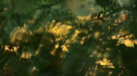 Reflection of trees and the sun in the water Stock Footage 524782