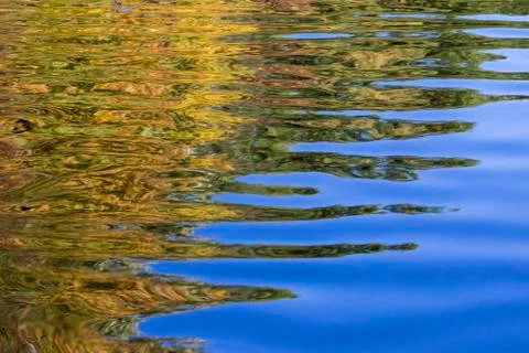 Reflection of trees on an autumn river Stock Photos