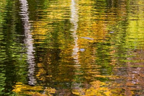 Reflection of trees on an autumn river Stock Photos