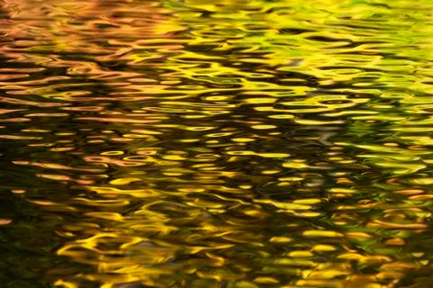 Reflection of trees on an autumn river Stock Photos