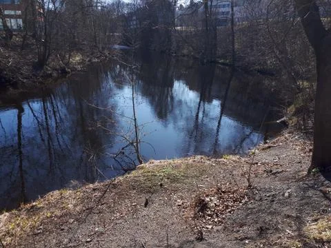 Reflection of trees in blue water Stock Photos