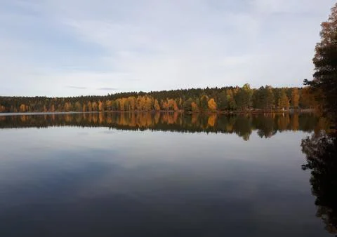 Reflection of trees in blue water Stock Photos