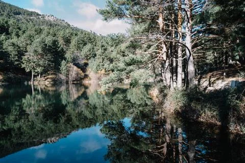 Reflection Of Trees In Calm Lake Stock Photos