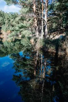 Reflection Of Trees In Calm Lake Foto stock